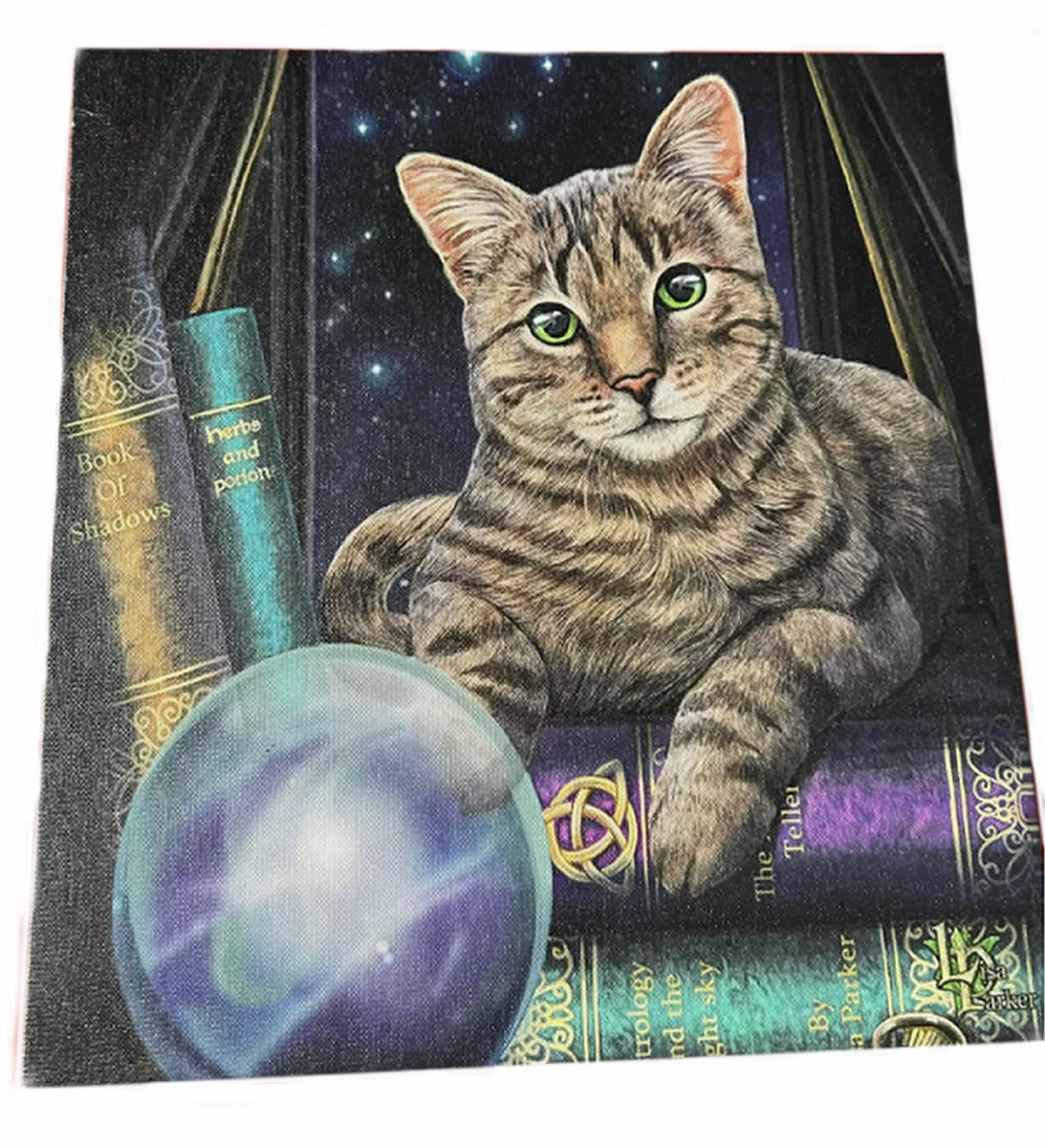 Lisa Parker Fortune Teller Cat Wall Art Canvas